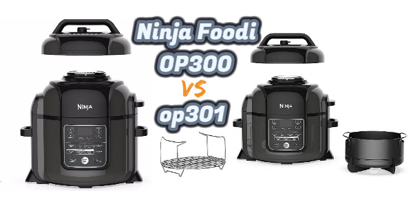 https://www.toptrendingproduct.com/wp-content/uploads/2021/07/Ninja-foodi-op300-vs-op301-1.jpg