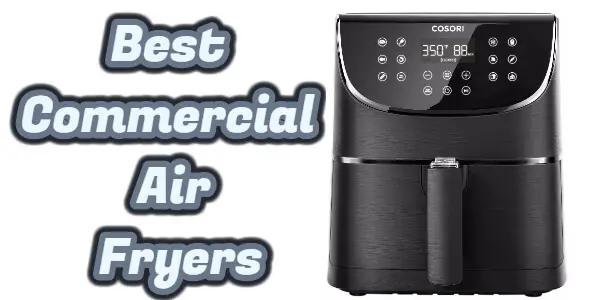 Best Commercial Air Fryers