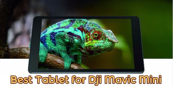 Best Tablet for Dji Mavic Mini